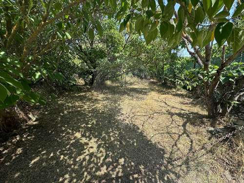 Saint-Pantaléon Vaucluse huis foto 7299575