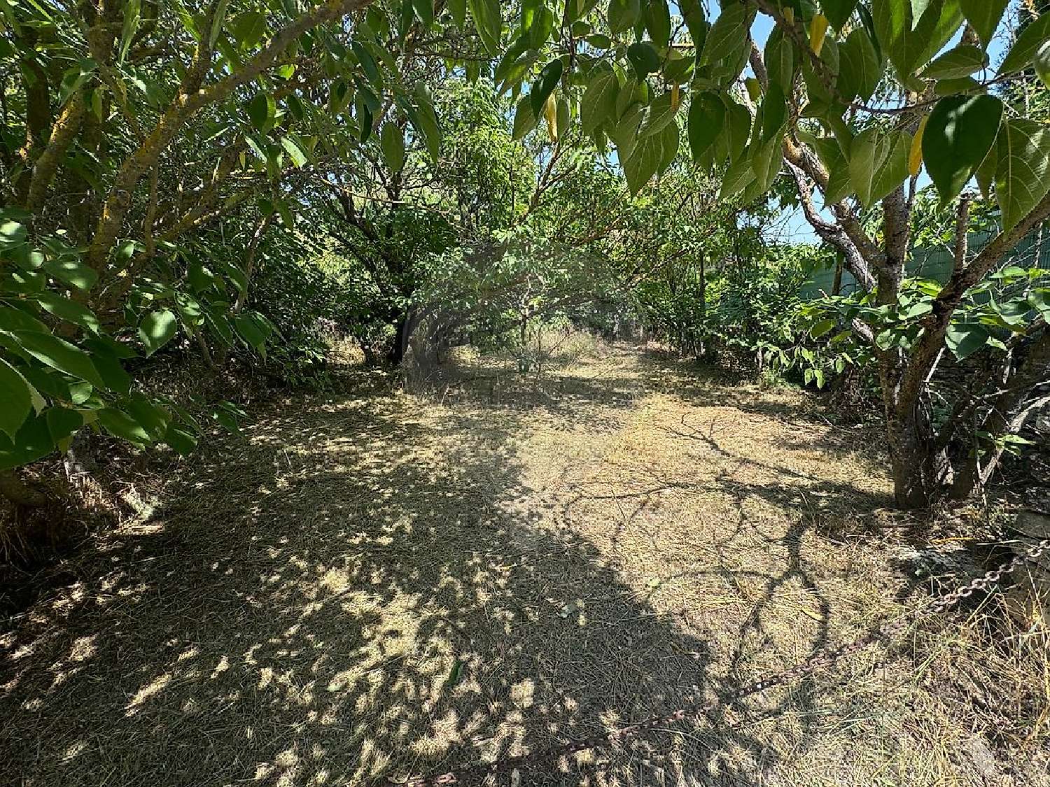  te koop huis Saint-Pantaléon Vaucluse 1