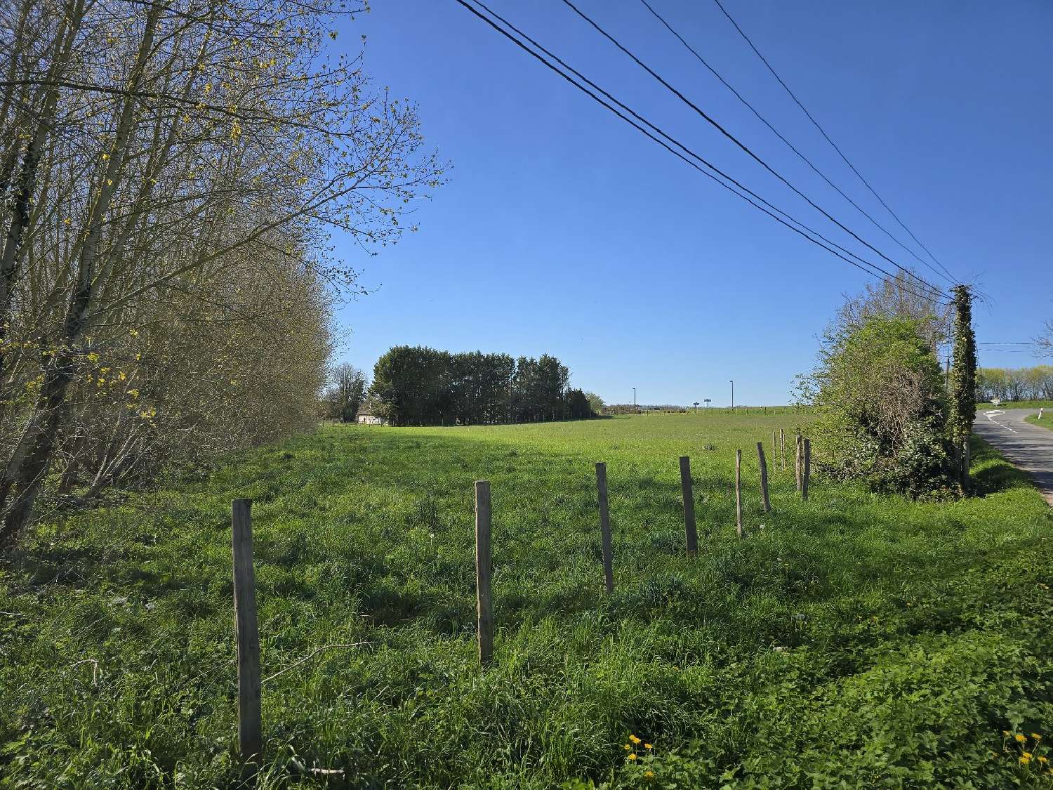  te koop huis Saint-Pierre-de-Juillers Charente-Maritime 5