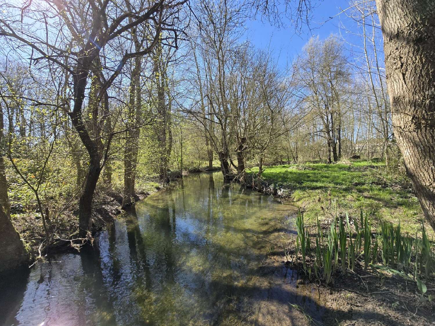  te koop huis Saint-Pierre-de-Juillers Charente-Maritime 6