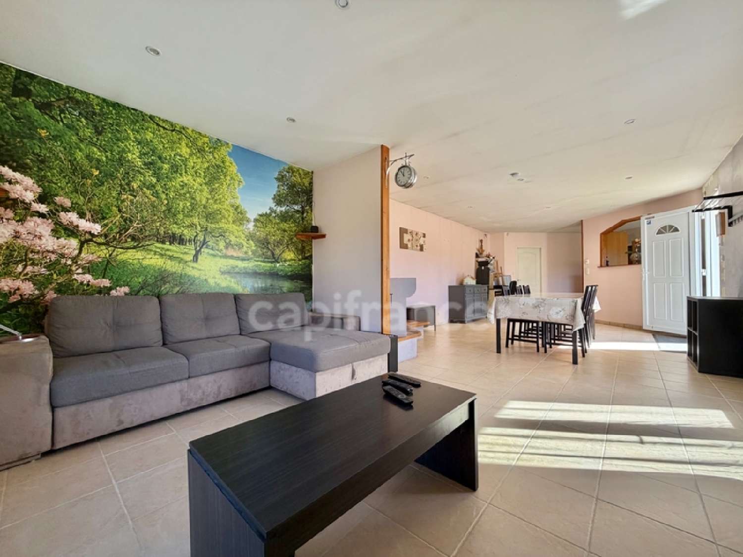  te koop huis Saint-Priest-la-Vêtre Loire 8