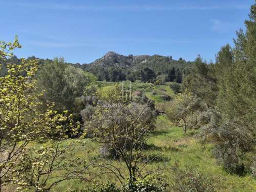 Saint-Rémy-de-Provence Bocas del Ródano casa foto 7312787