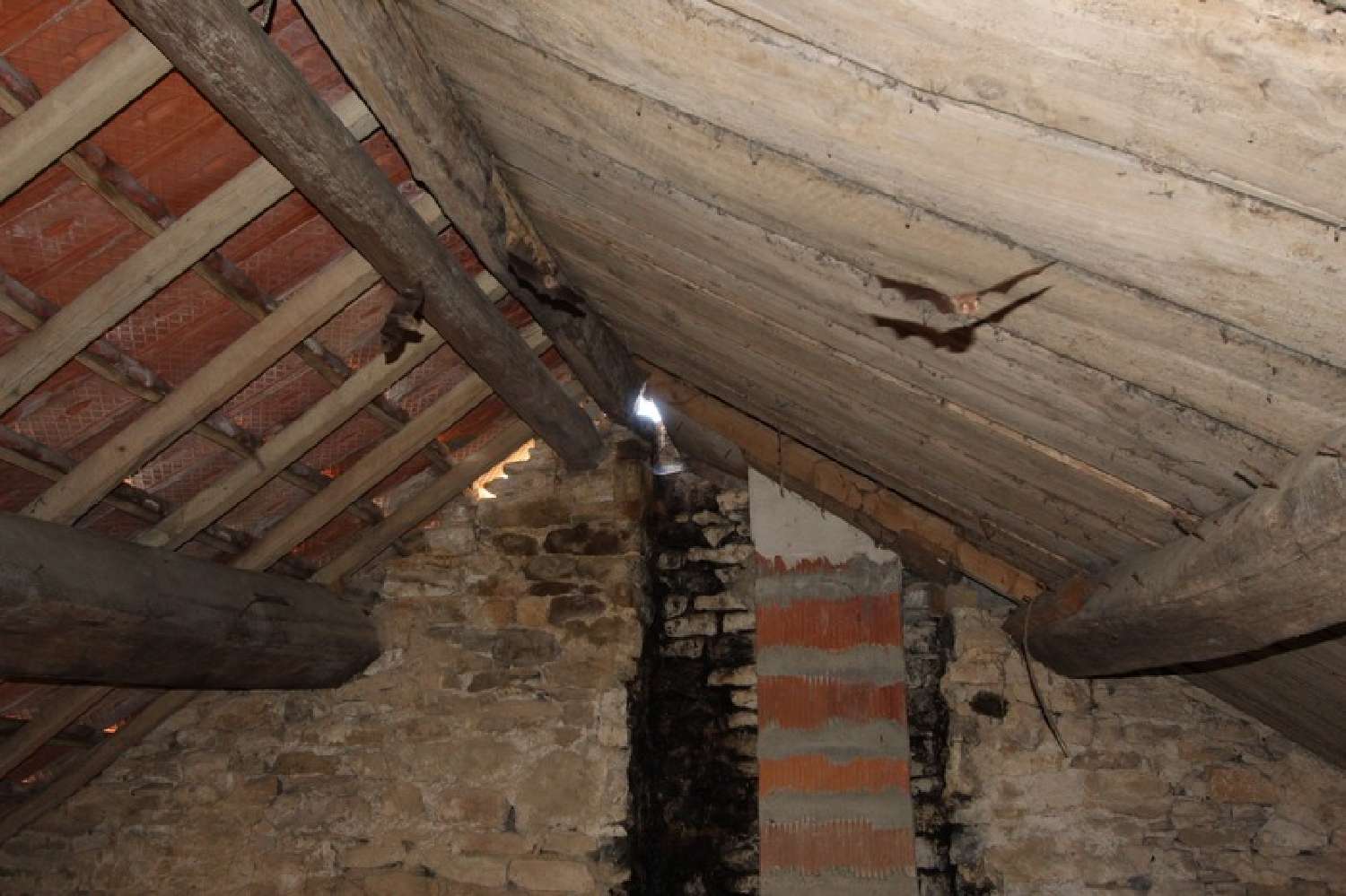  te koop huis Saint-Victor-sur-Ouche Côte-d'Or 6