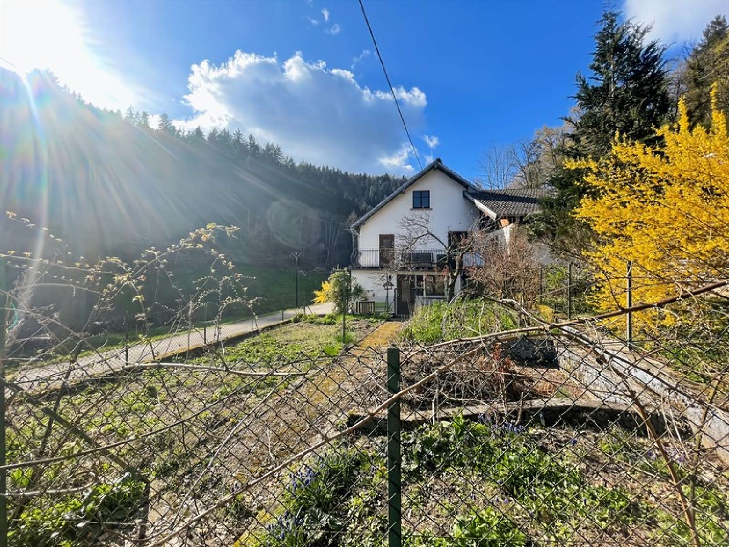  for sale house Sainte-Croix-aux-Mines Haut-Rhin 3