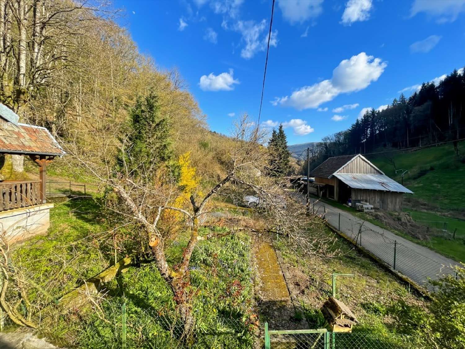  for sale house Sainte-Croix-aux-Mines Haut-Rhin 4