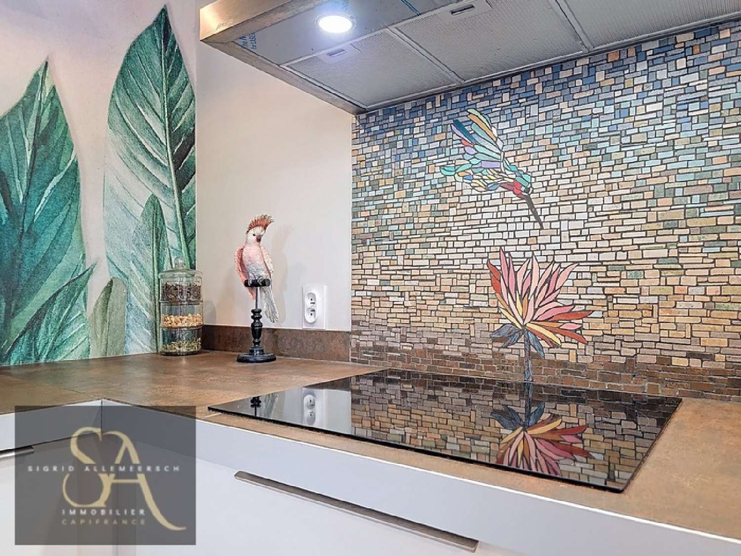  en venta casa Sainte-Eulalie Aude 8