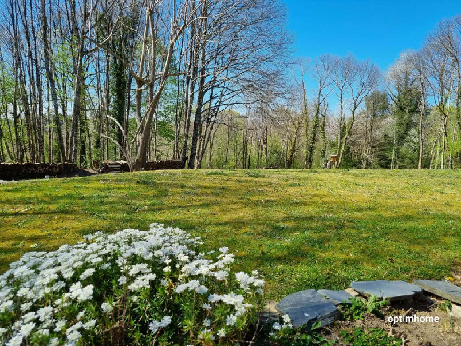  à vendre maison Sainte-Fortunade Corrèze 2