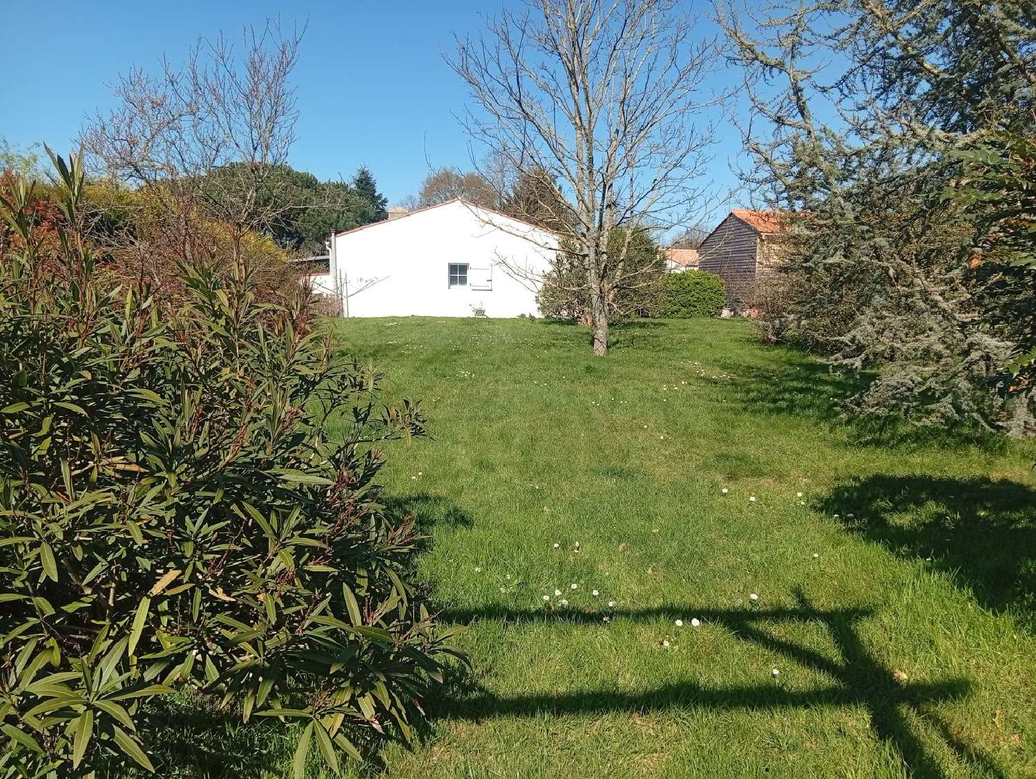  te koop huis Sainte-Foy Vendée 2