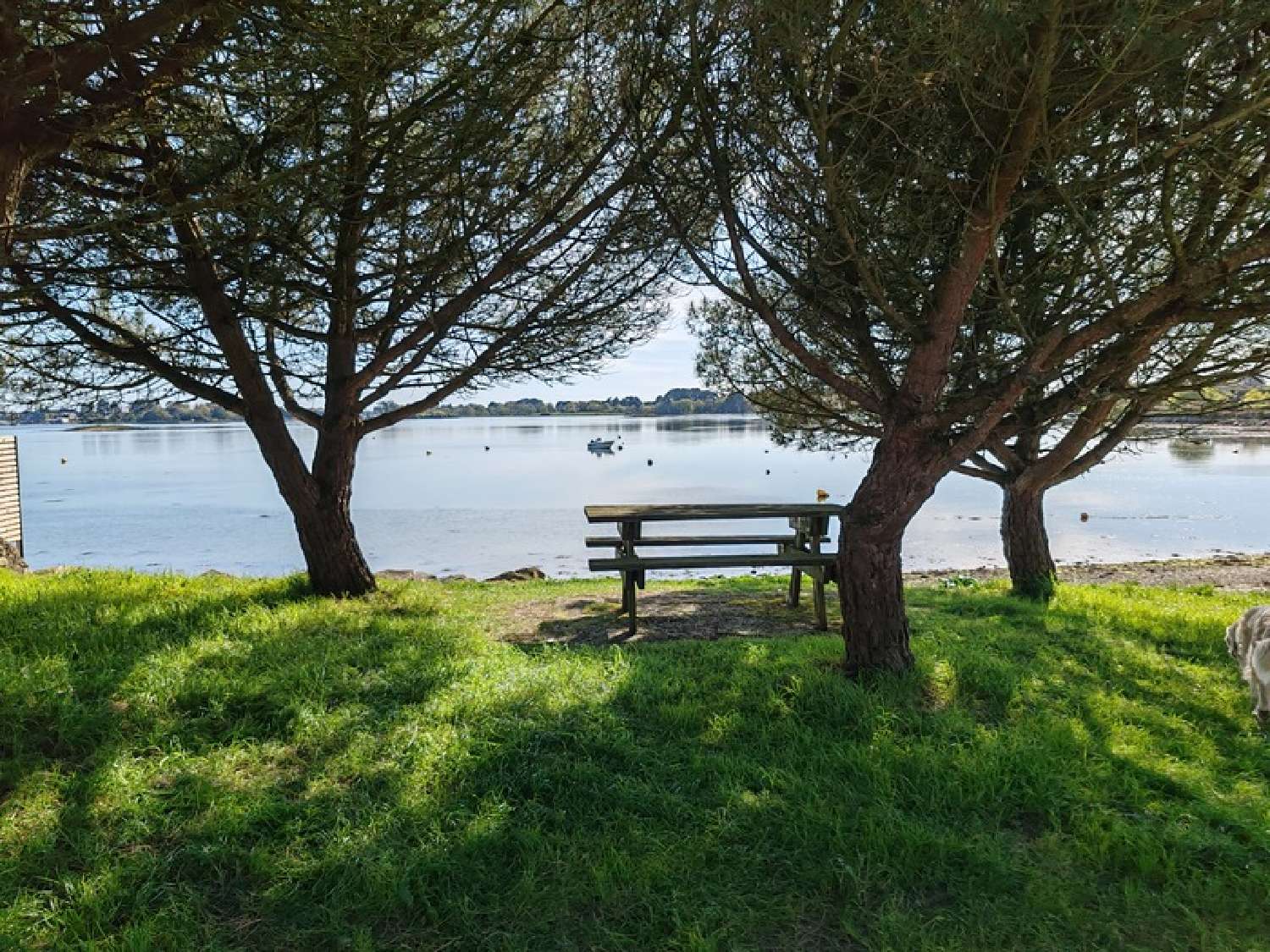  te koop huis Sainte-Hélène Morbihan 1