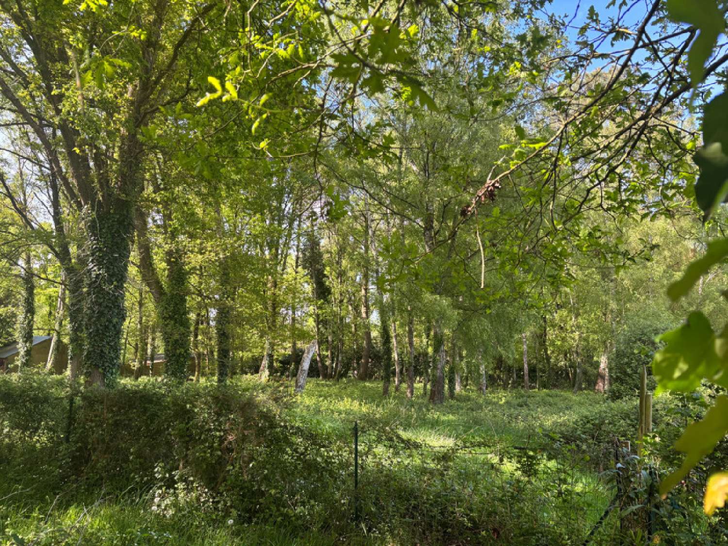  à vendre maison Sainte-Marie Ille-et-Vilaine 5