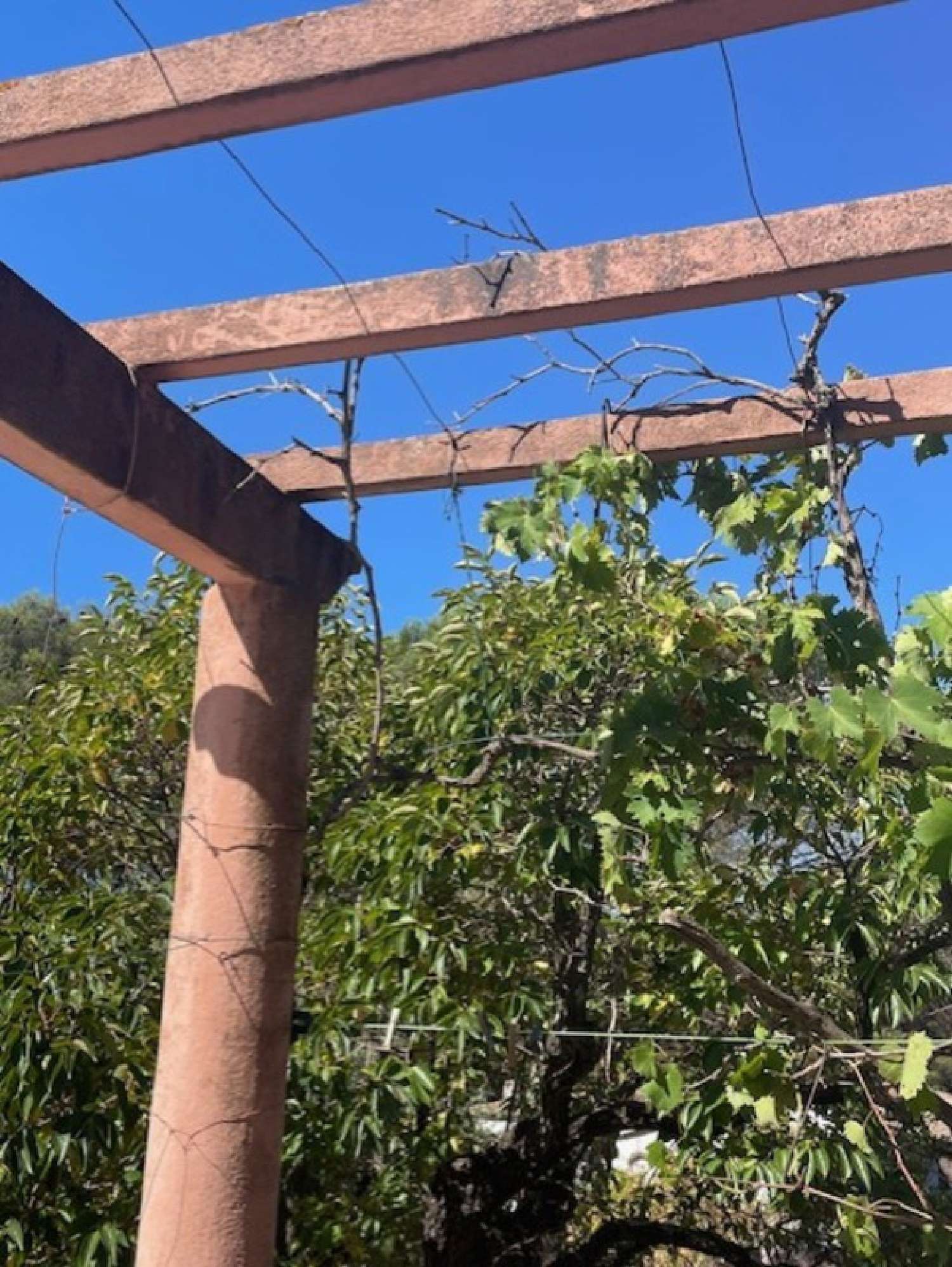  for sale house Sainte-Maxime Var 5