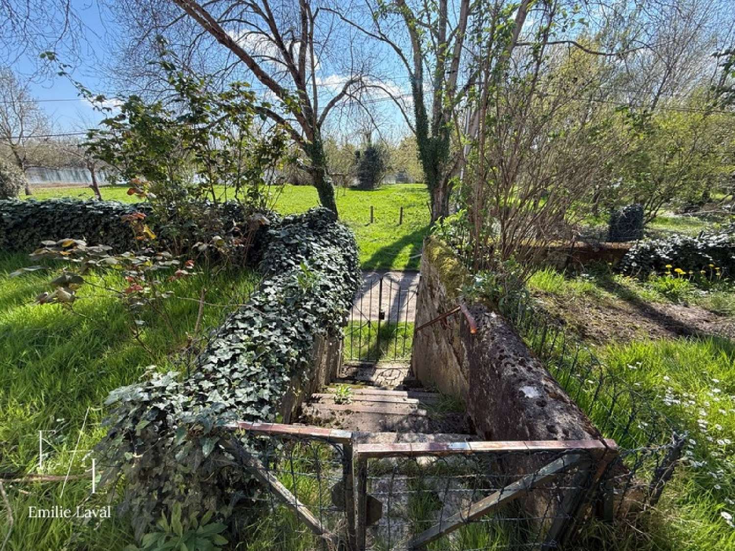  for sale house Sainte-Terre Gironde 3