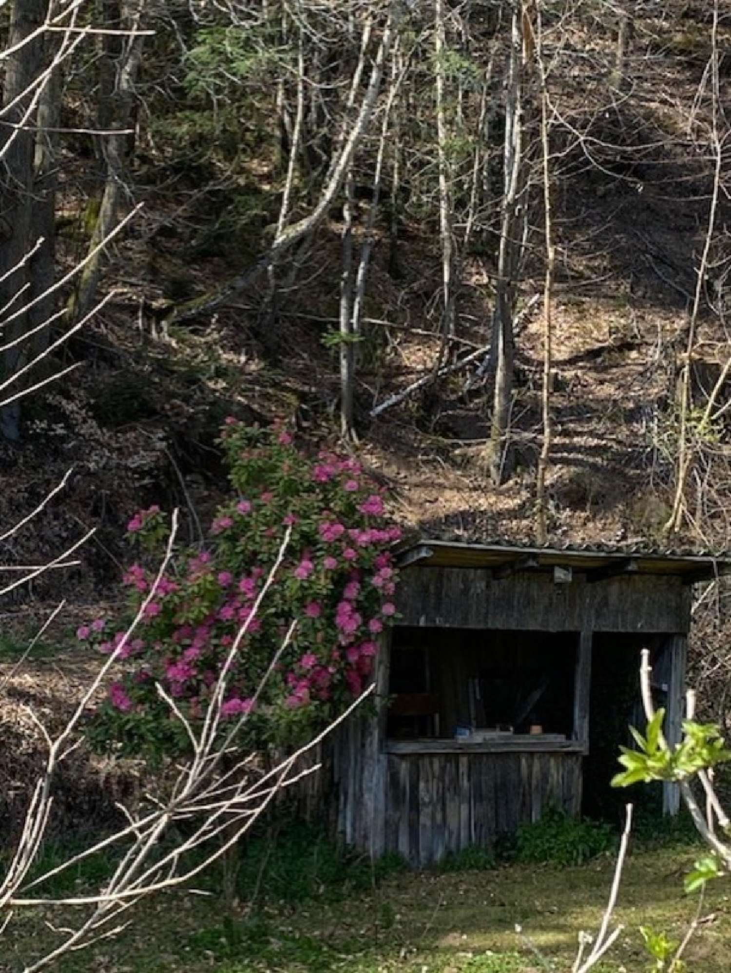  te koop huis Sansac-Veinazés Cantal 5