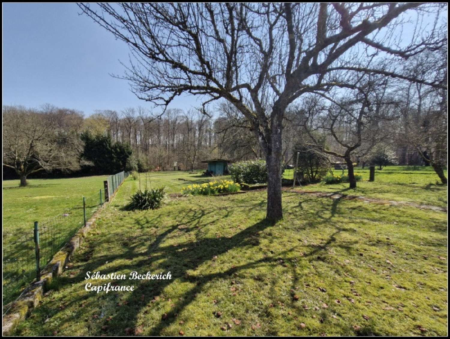  kaufen Haus Sarreguemines Moselle 5