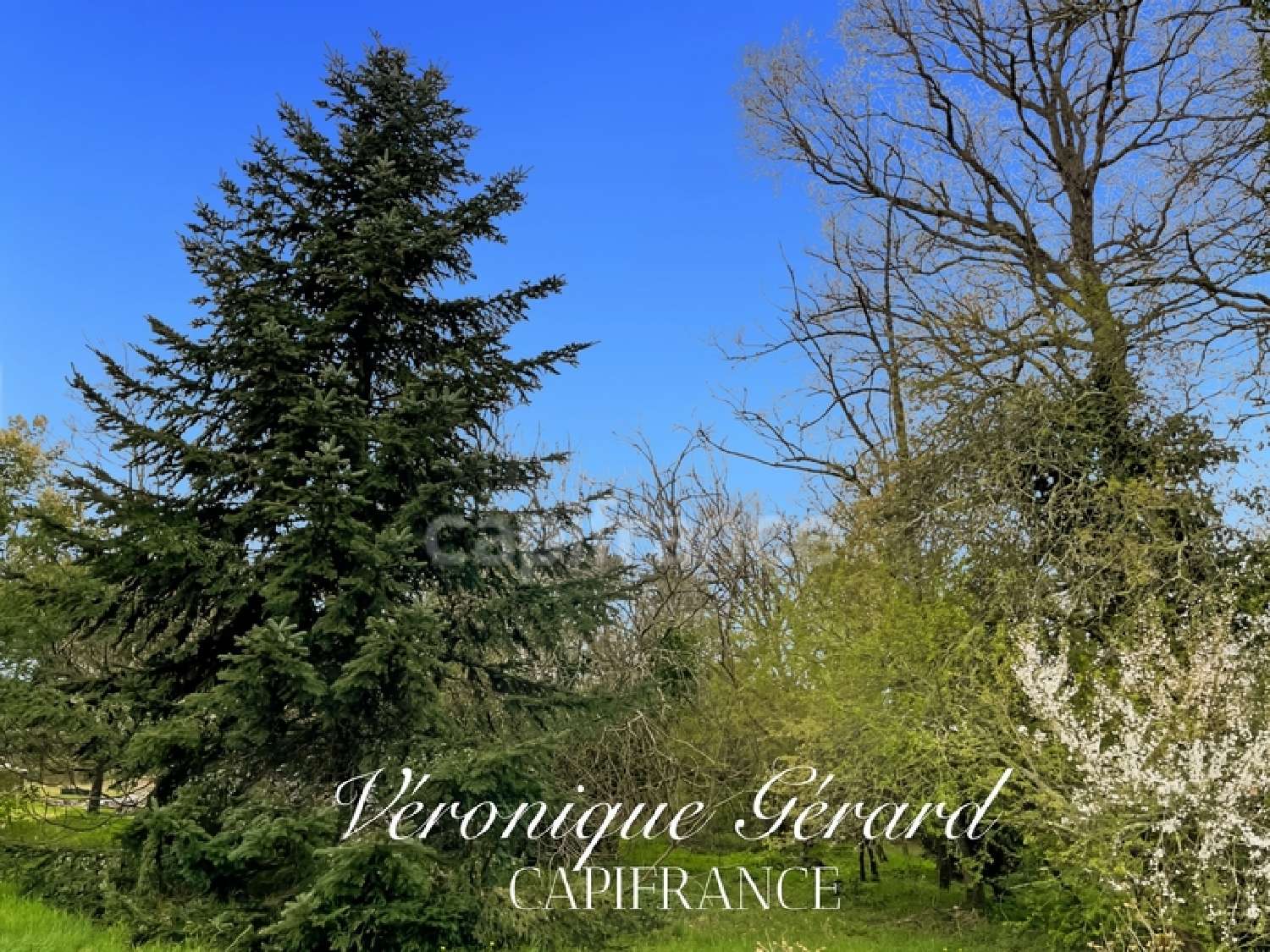  à vendre maison Saugon Gironde 6