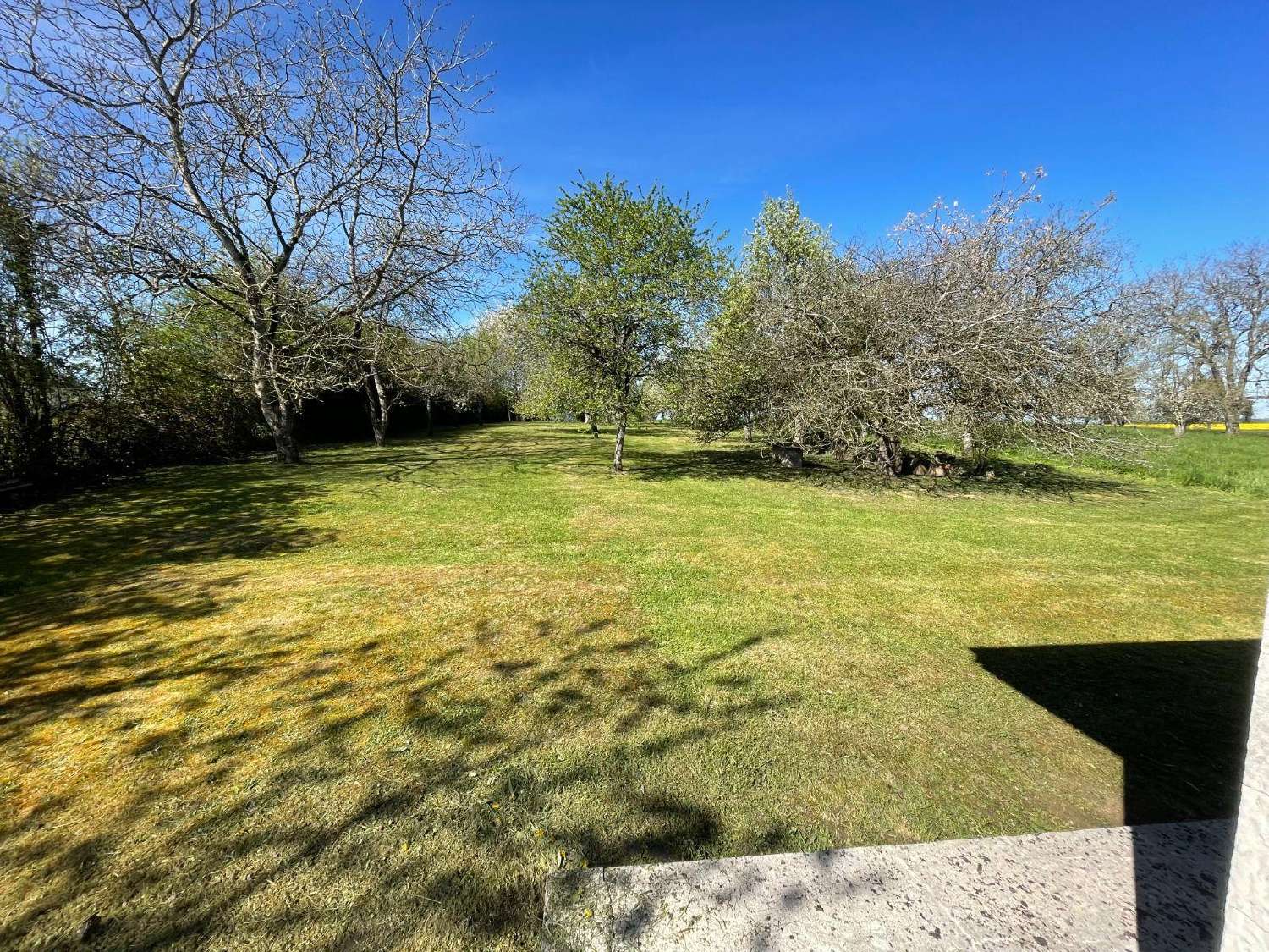  kaufen Haus Saulces-Monclin Ardennes 6