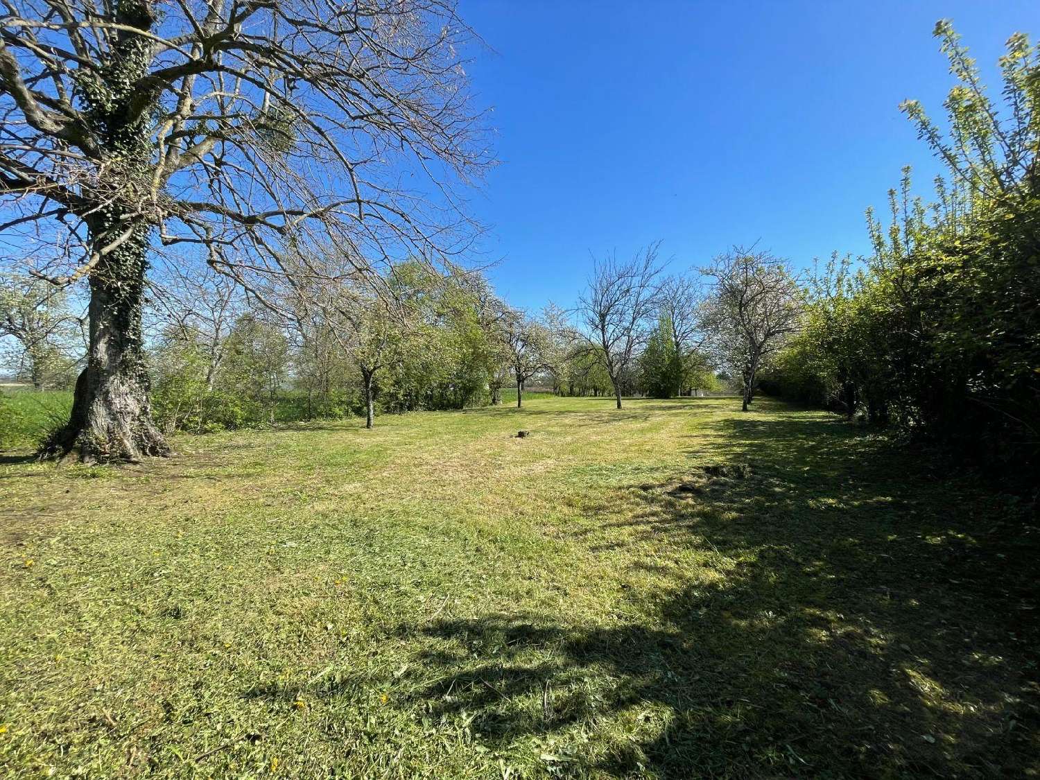  kaufen Haus Saulces-Monclin Ardennes 7