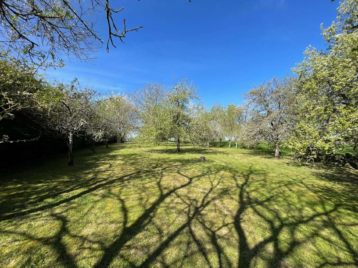  kaufen Haus Saulces-Monclin Ardennes 8