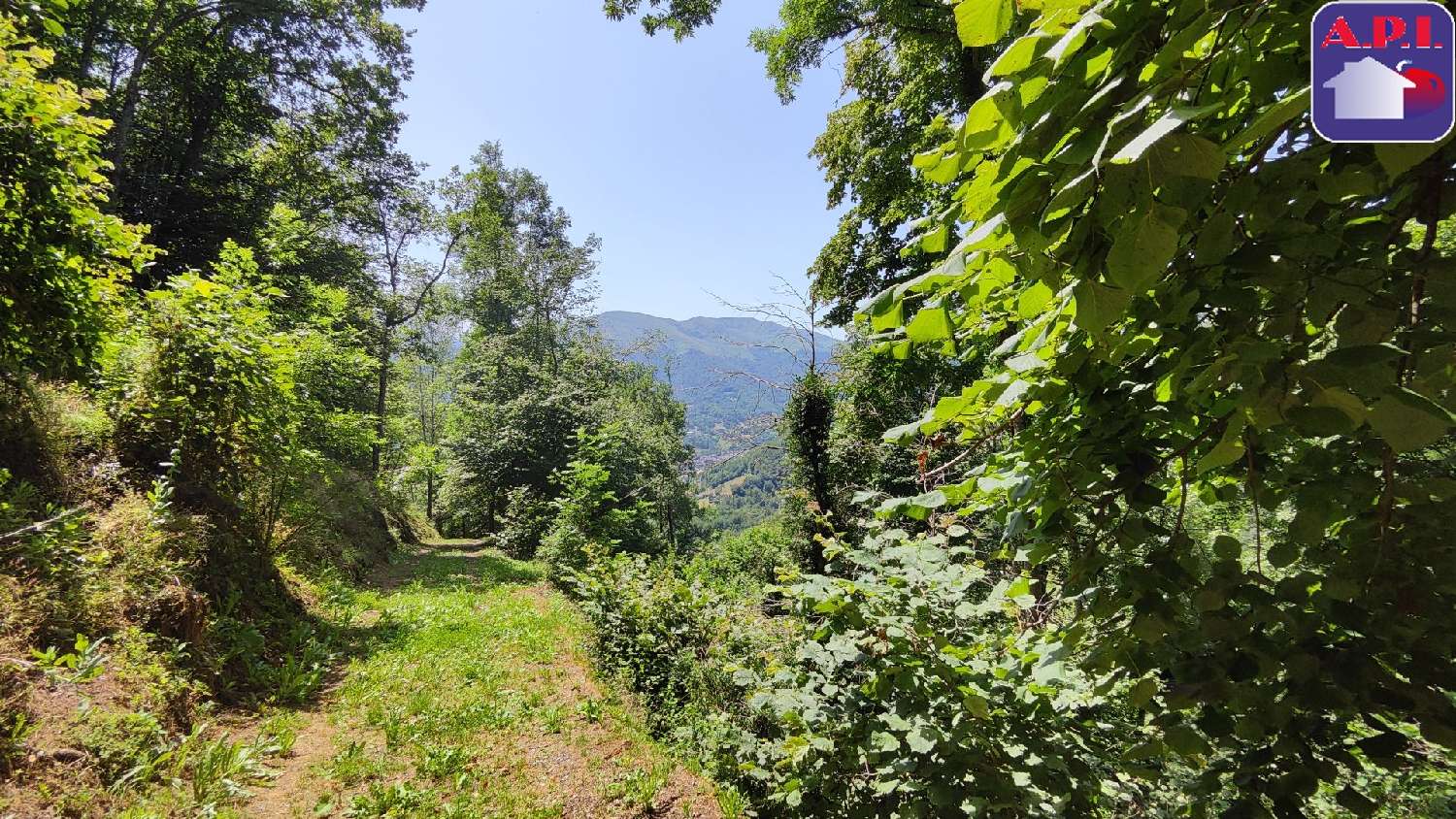  te koop huis Saurat Ariège 1