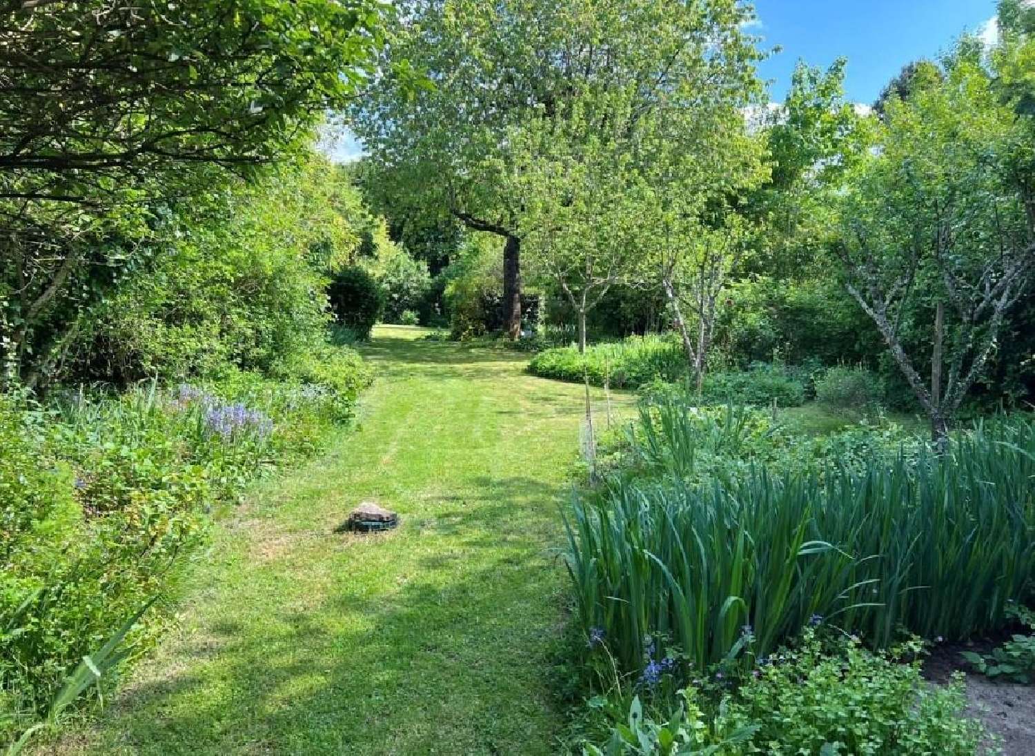  à vendre maison Sauzé-Vaussais Deux-Sèvres 4