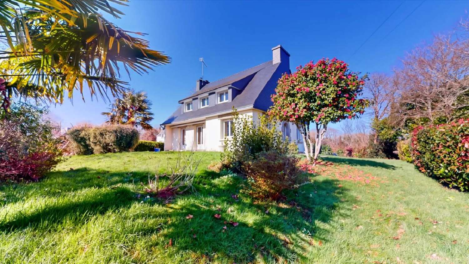 kaufen Haus Scaër Finistère 1