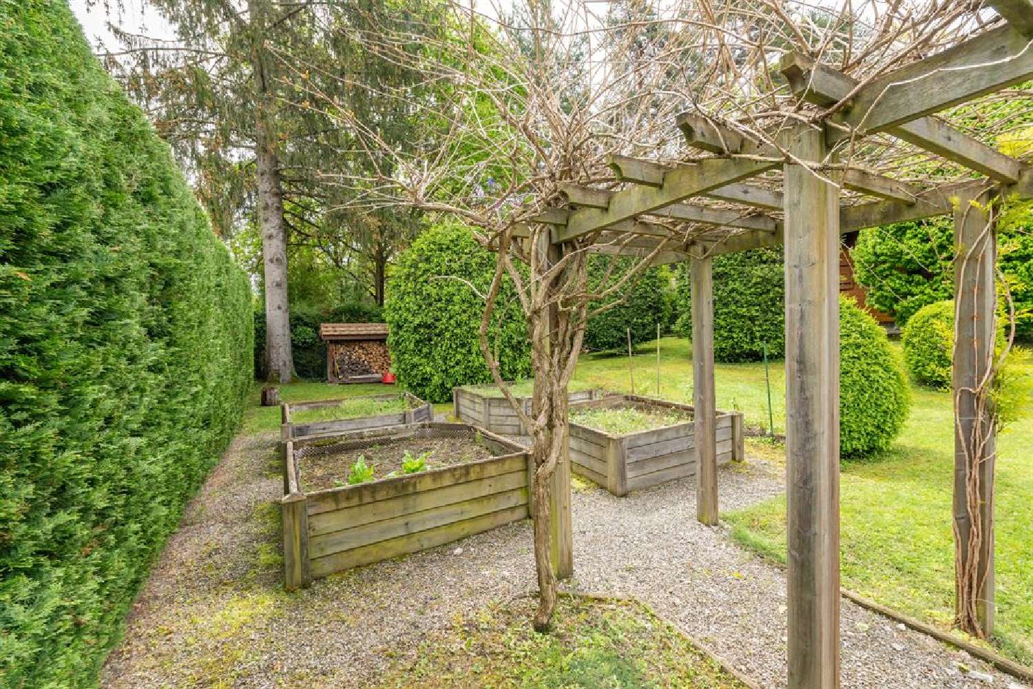 te koop huis Sciez Haute-Savoie 6