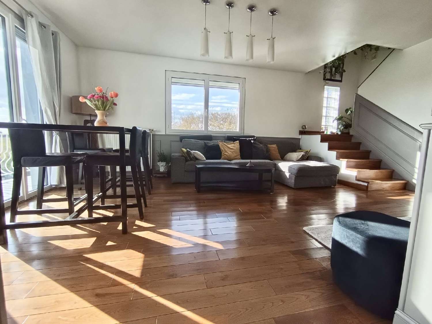  à vendre maison Sérézin-de-la-Tour Isère 1