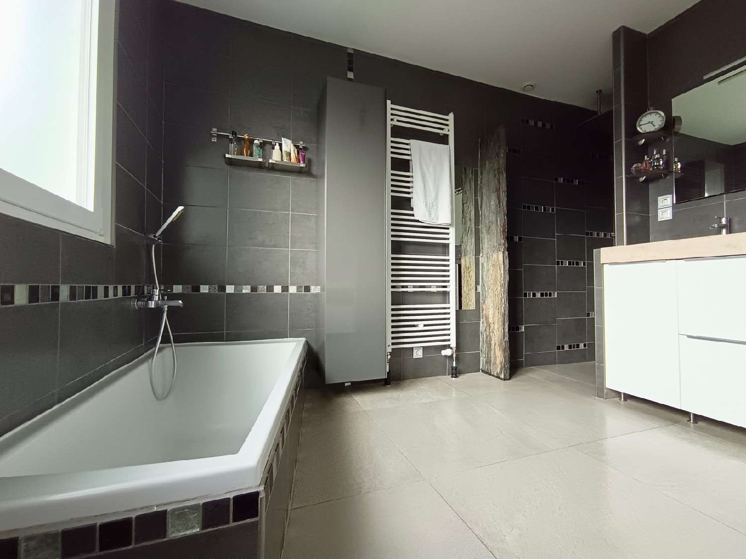  à vendre maison Sérézin-de-la-Tour Isère 6