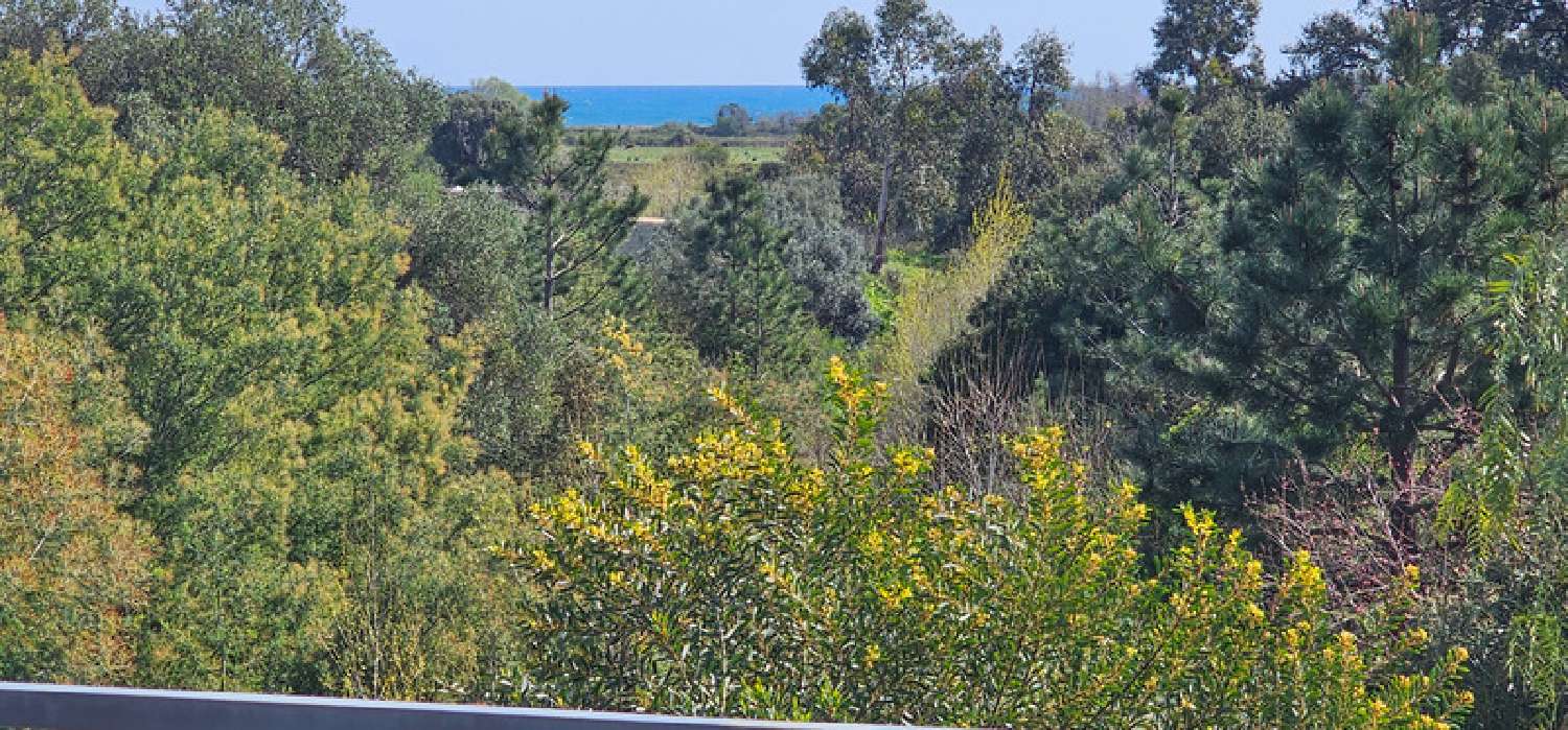  kaufen Haus Solaro Haute-Corse 7