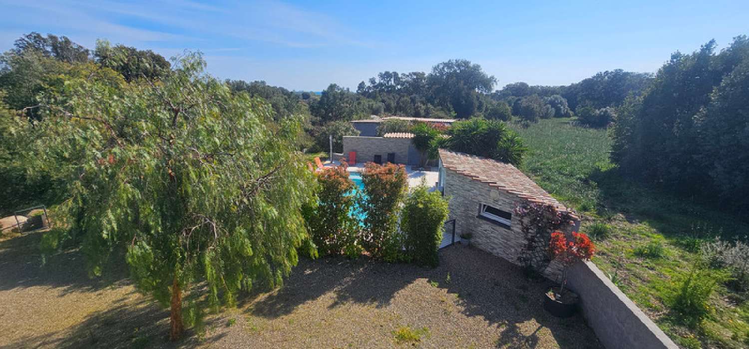  kaufen Haus Solaro Haute-Corse 8