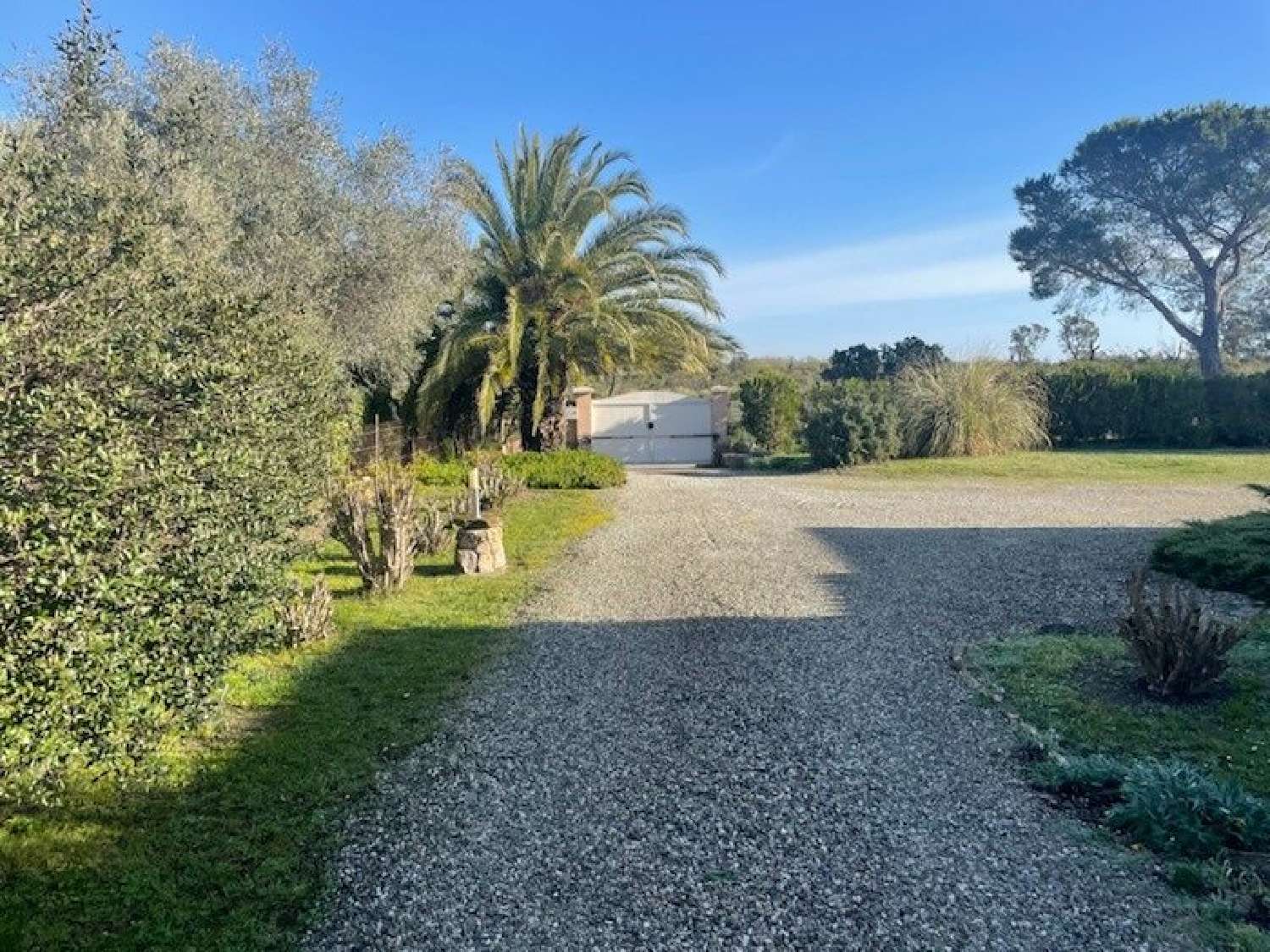  for sale house Solaro Haute-Corse 1