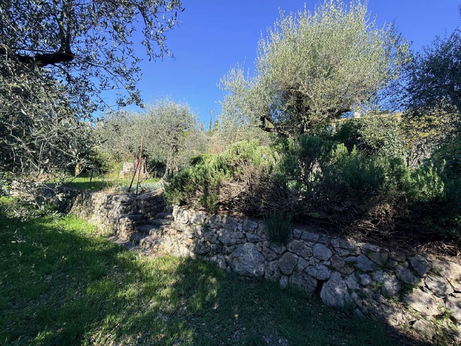  à vendre maison Spéracèdes Alpes-Maritimes 4