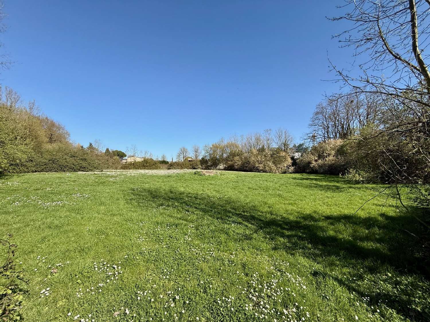  kaufen Haus Tillou Deux-Sèvres 3