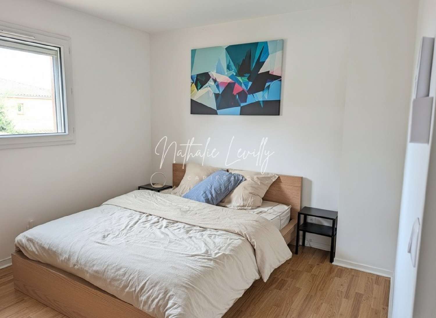  te koop huis Toulouse 31200 Haute-Garonne 5