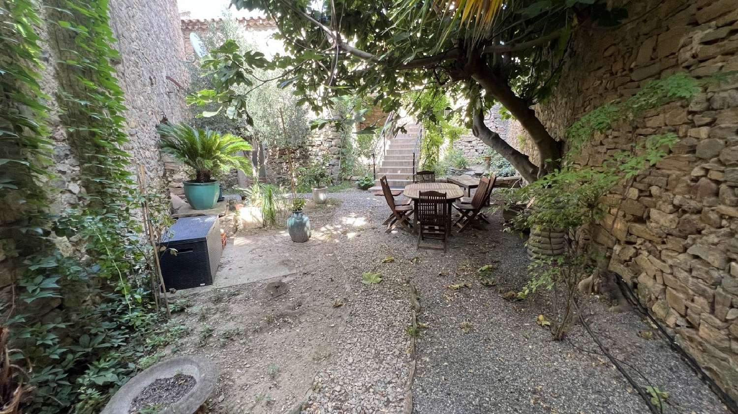  à vendre maison Tourouzelle Aude 4