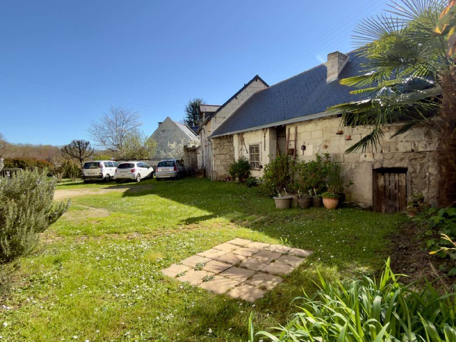  kaufen Haus Trèves-Cunault Maine-et-Loire 4