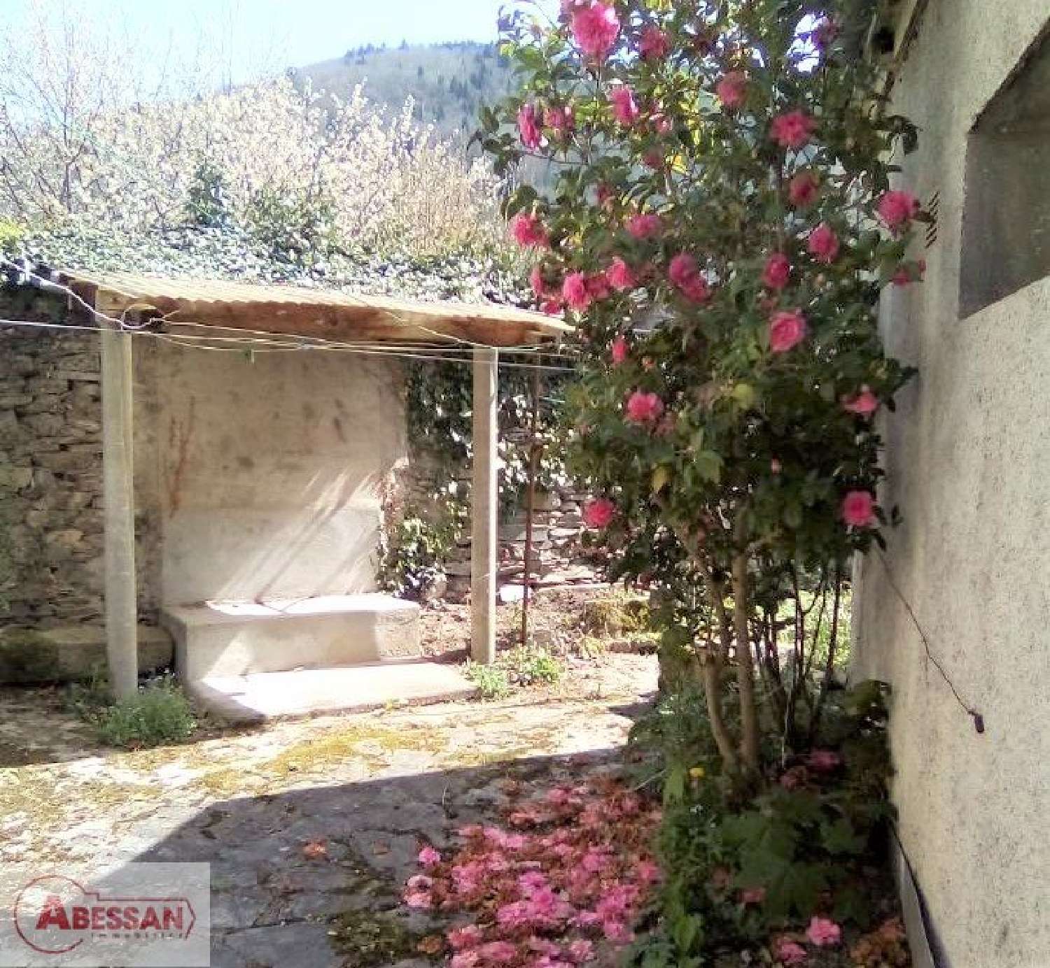  kaufen Haus Vabre Tarn 4