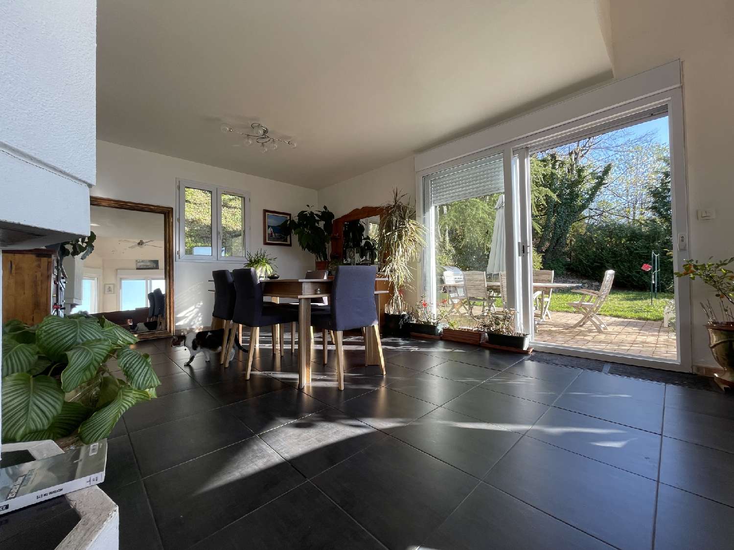  à vendre maison Venon Isère 4