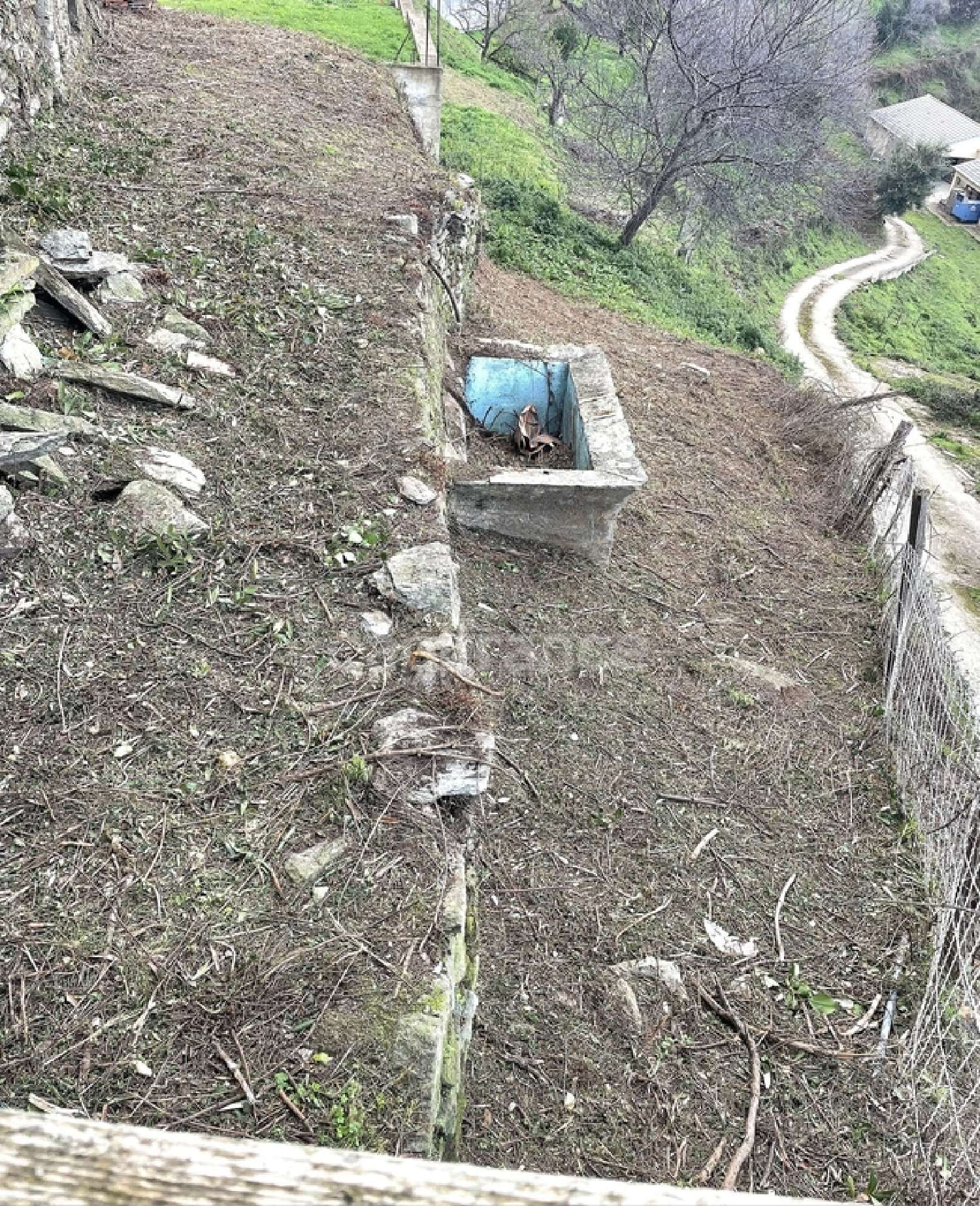  te koop huis Venzolasca Haute-Corse 2