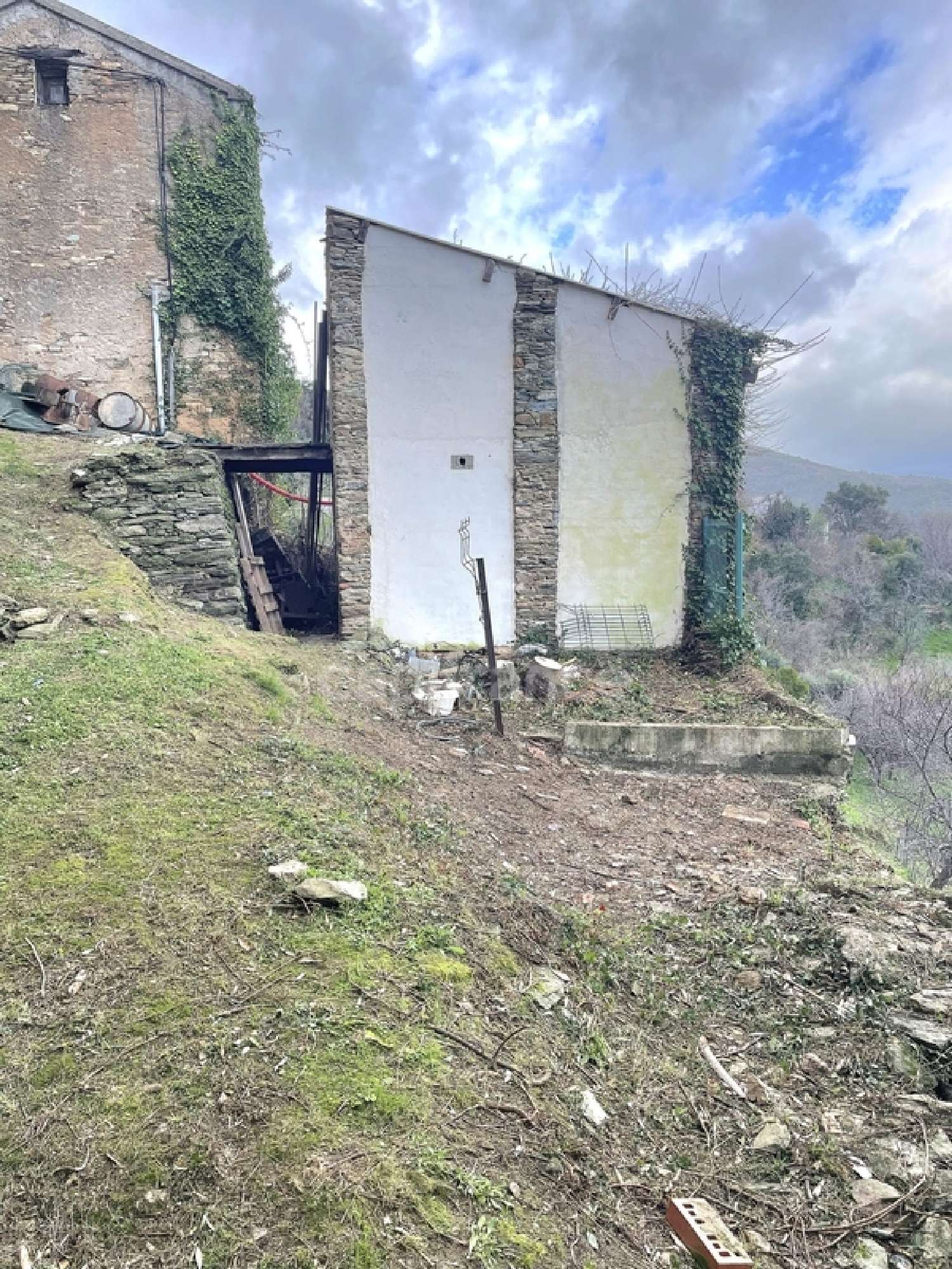  te koop huis Venzolasca Haute-Corse 3
