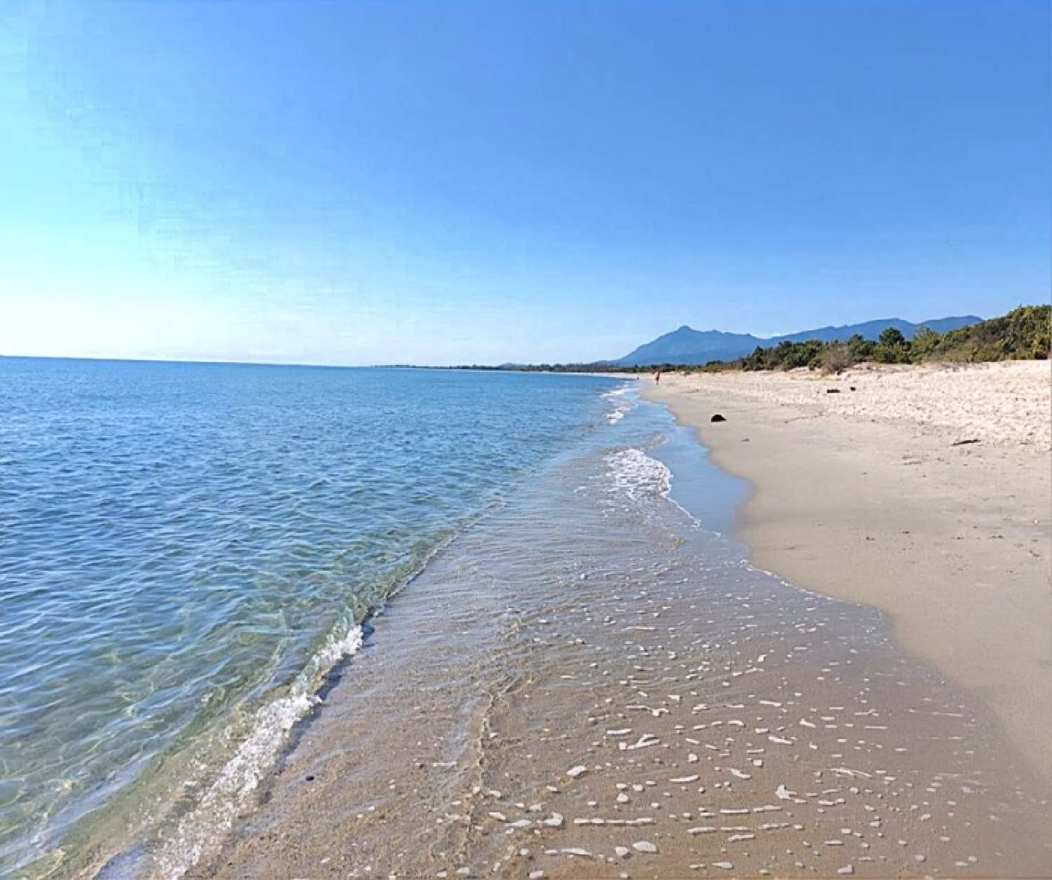  te koop huis Venzolasca Haute-Corse 6