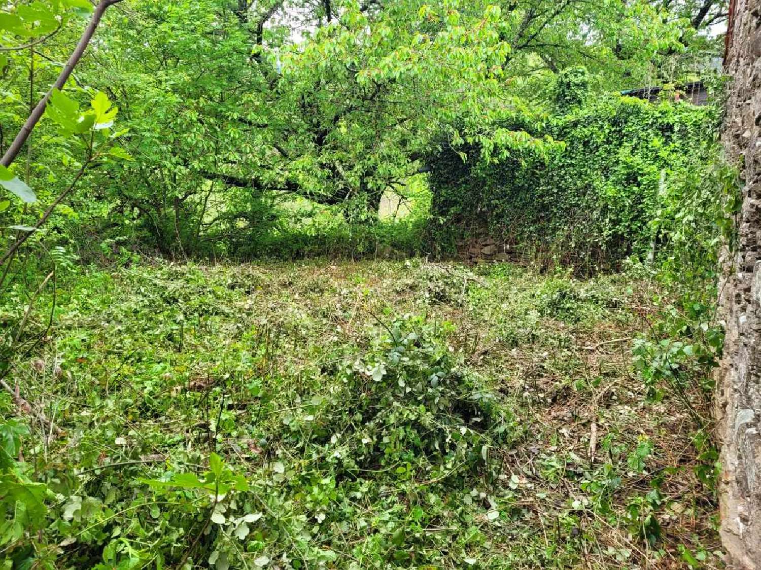  te koop huis Verreries-de-Moussans Hérault 3