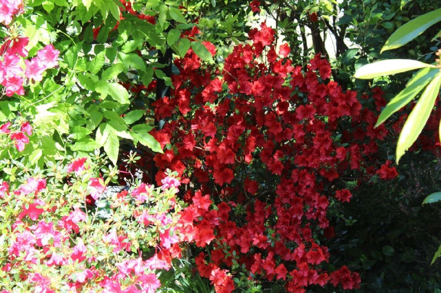 en venta casa Versailles Yvelines 8