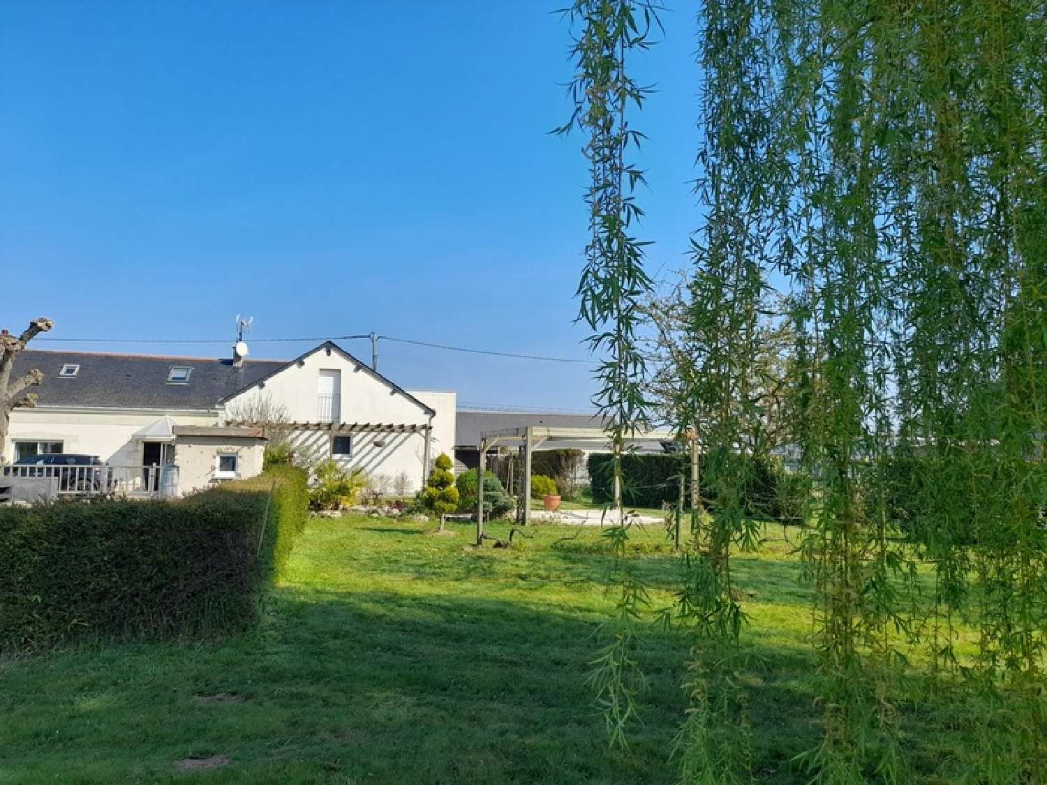  te koop huis Villebernier Maine-et-Loire 2