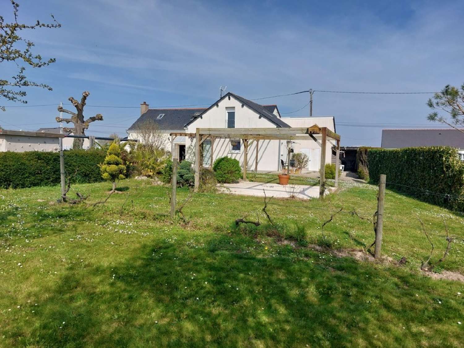  te koop huis Villebernier Maine-et-Loire 3