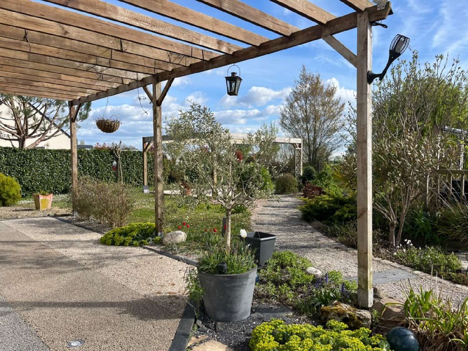  te koop huis Villebernier Maine-et-Loire 4