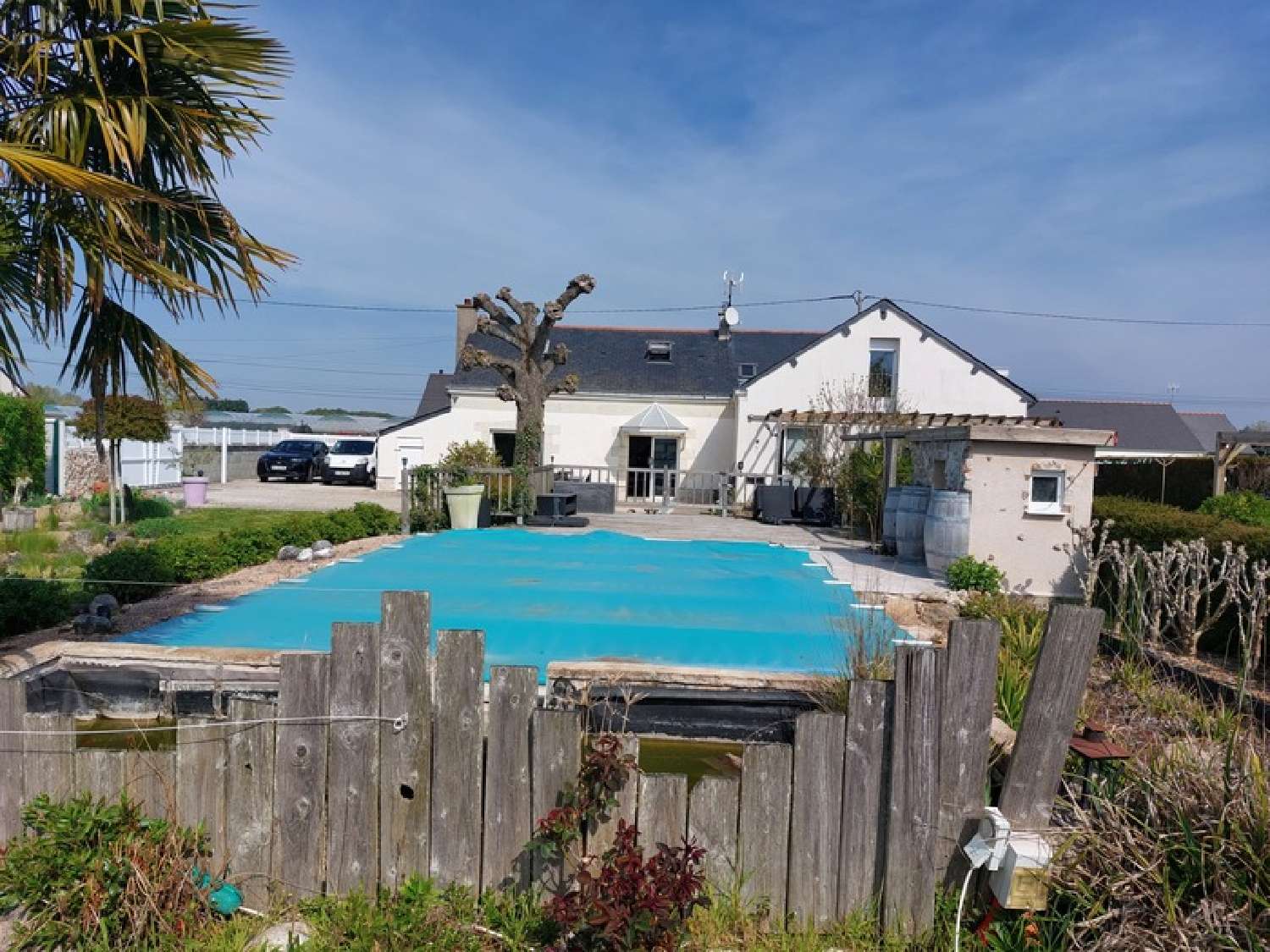  te koop huis Villebernier Maine-et-Loire 5