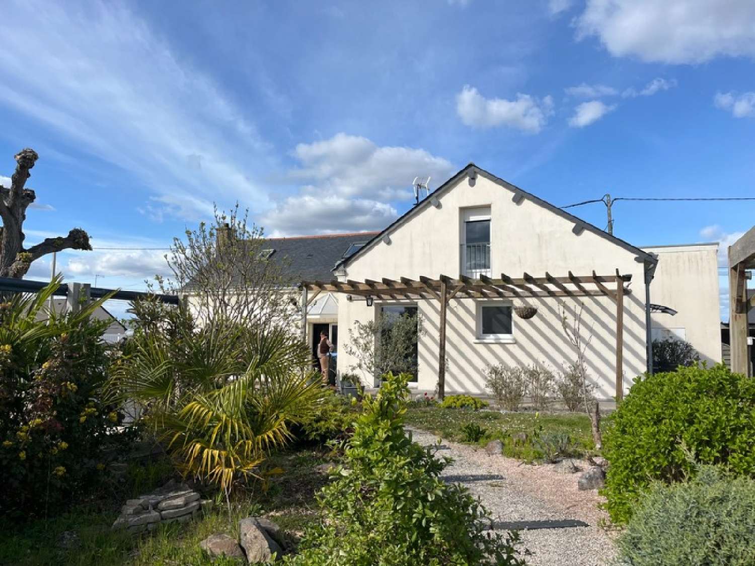  te koop huis Villebernier Maine-et-Loire 6