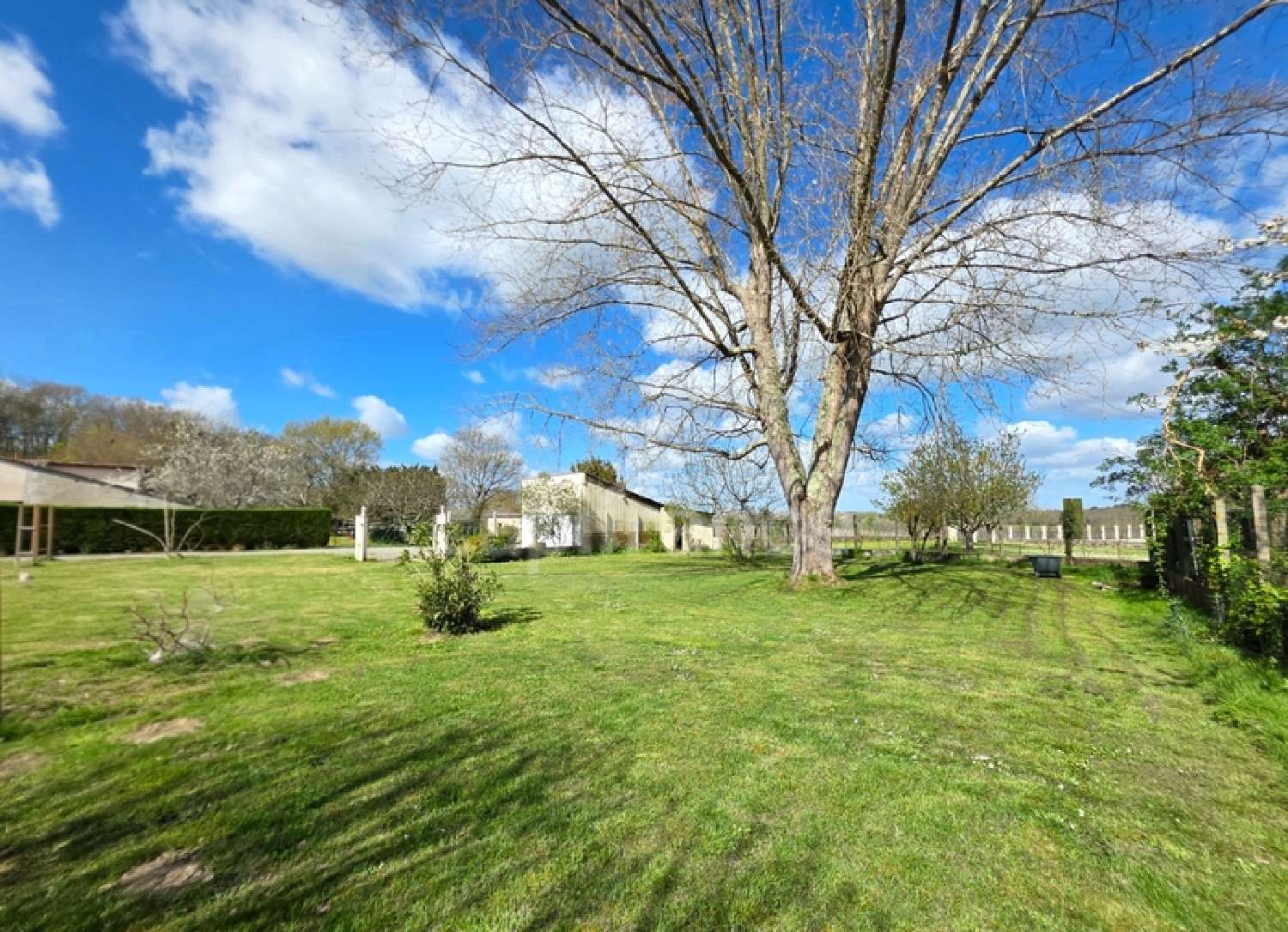 kaufen Haus Villegouge Gironde 6