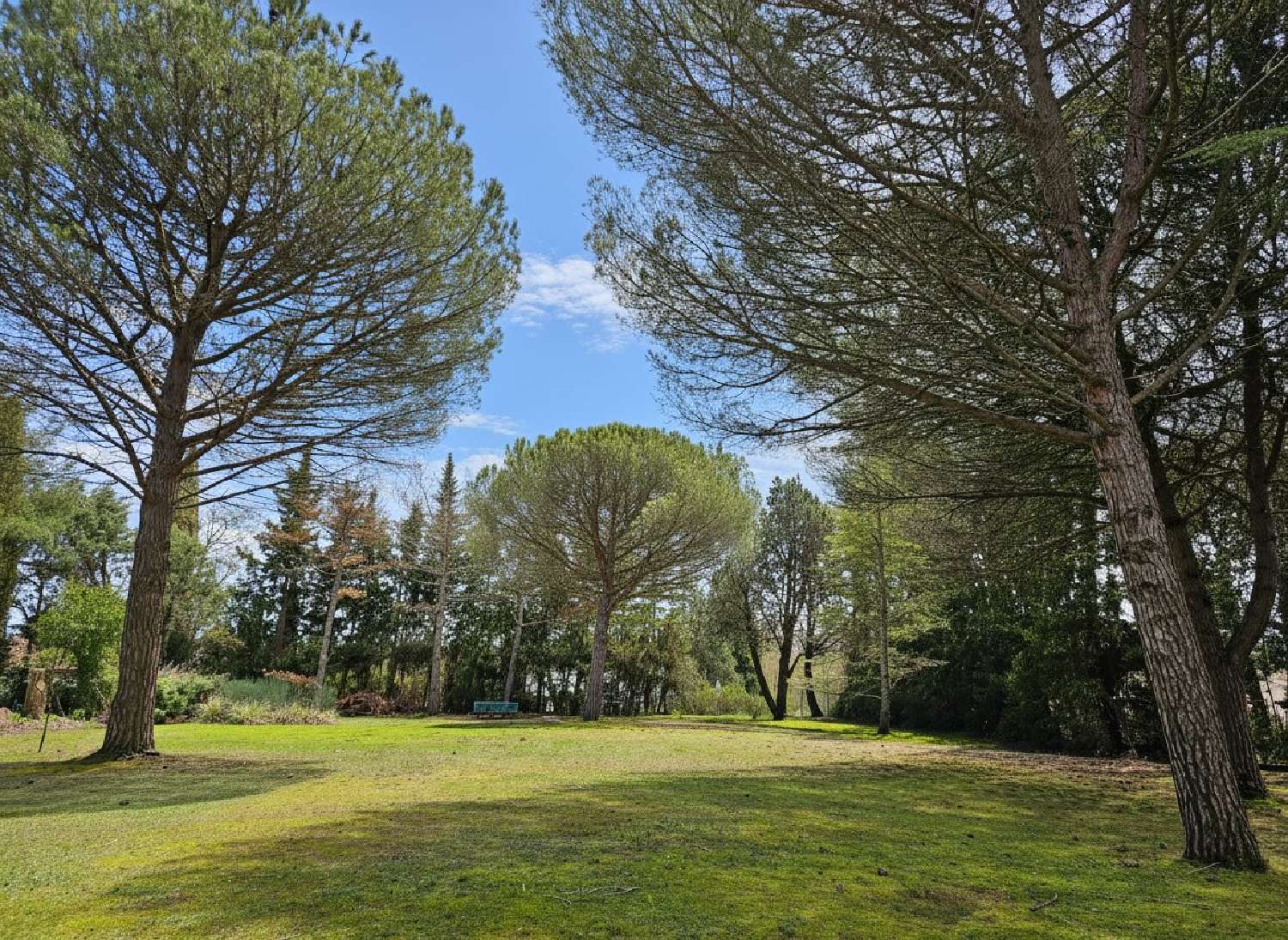 en venta casa Villemoustaussou Aude 6